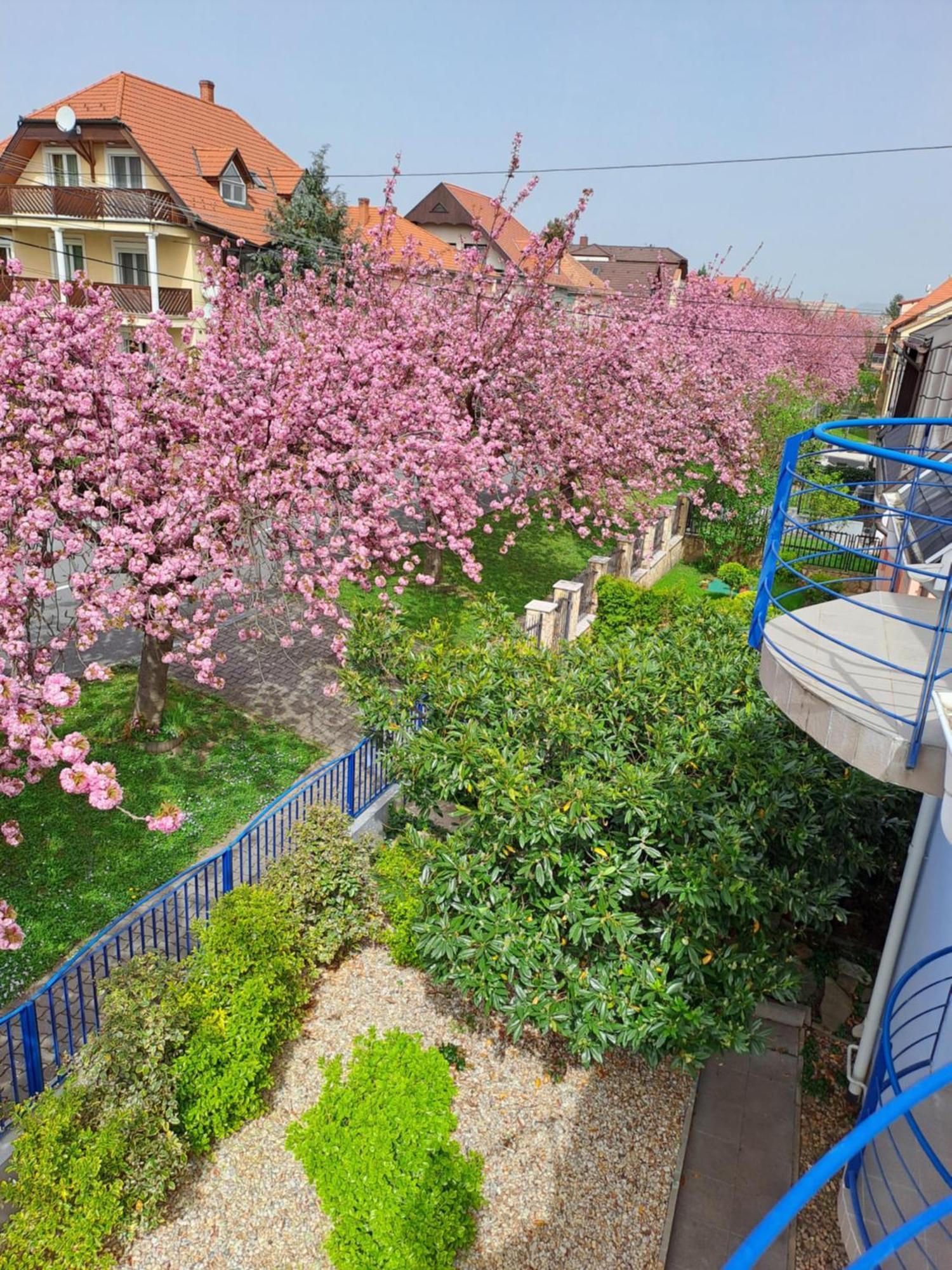 Laguna Apartmanhaz Hévíz Exterior foto